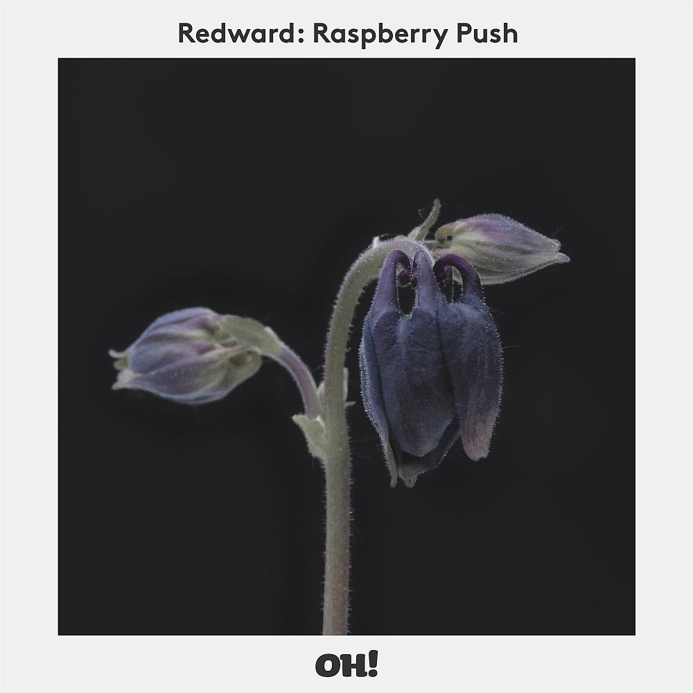Постер альбома Raspberry Push