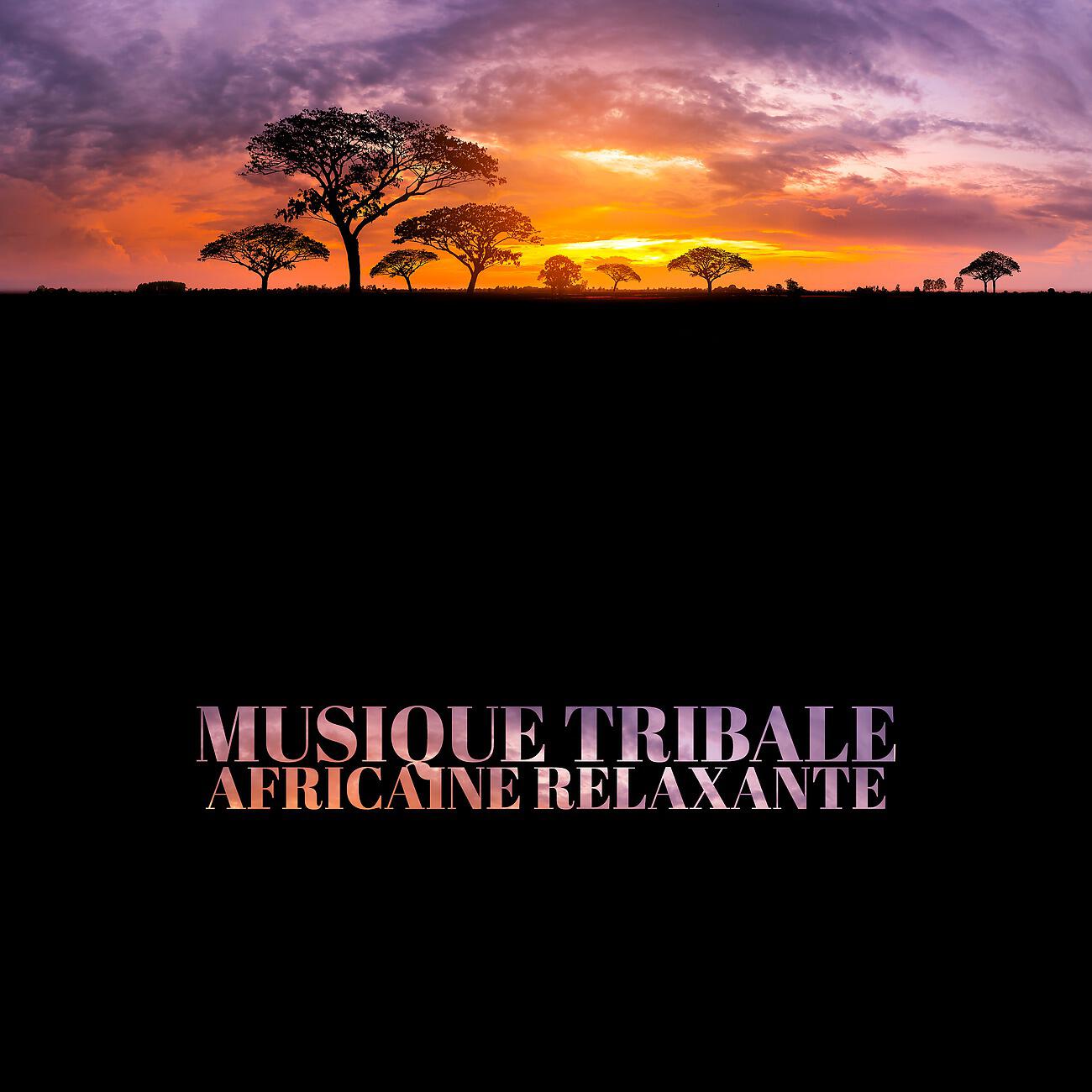 African Music Drums Collection - Bonne énergie et musique paisible