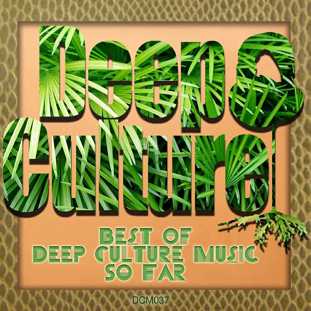 Myles Bigelow - Electric Samba (Sunshine Remix)