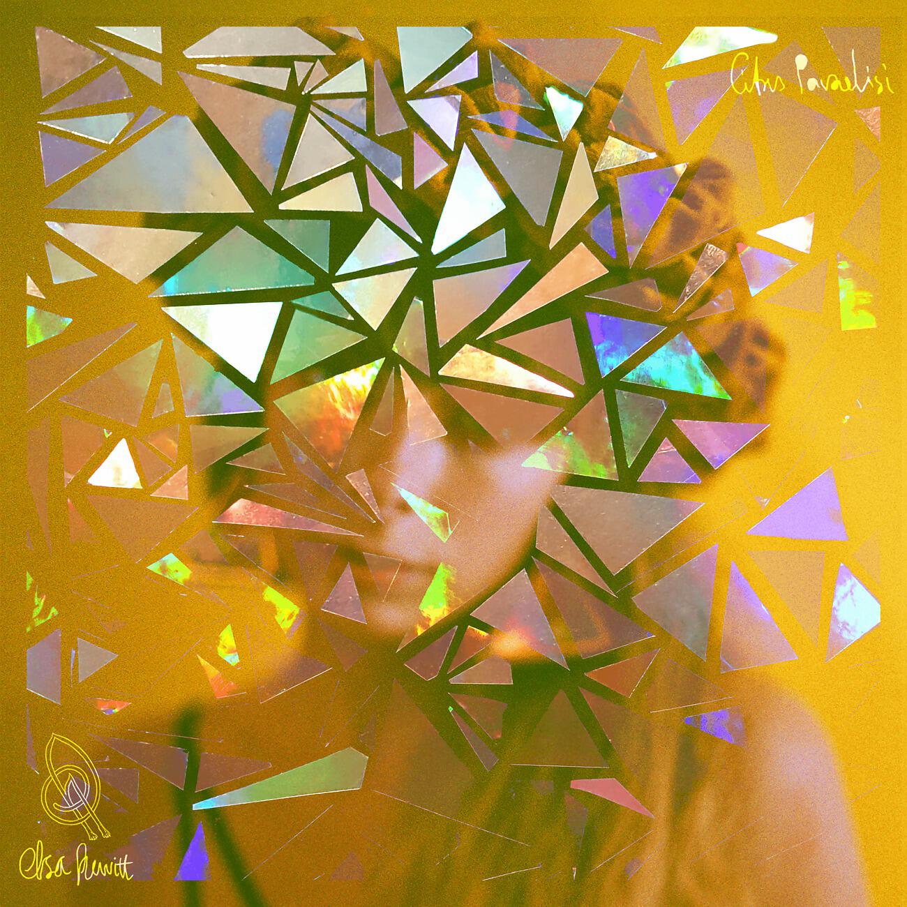 Elsa Hewitt - Blood Orange