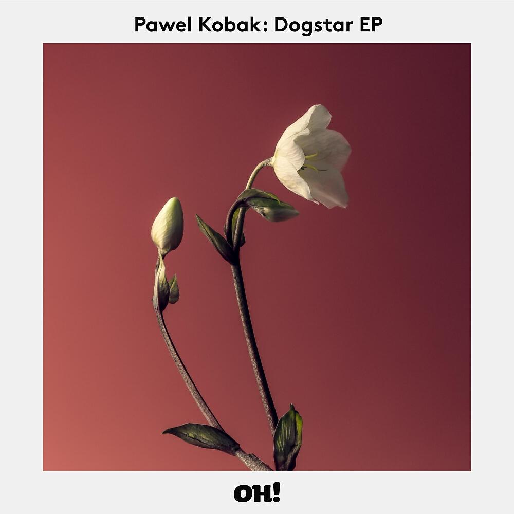 Pawel Kobak - Dogstar (Original Mix)