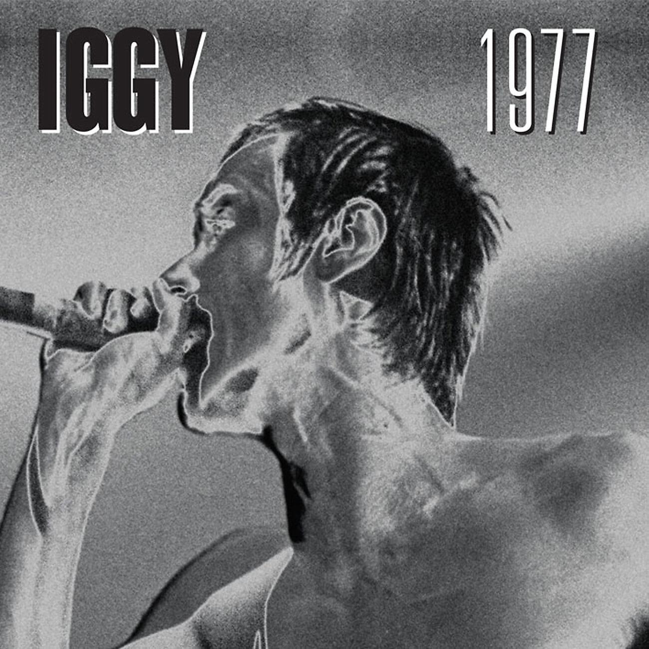 Iggy Pop - Interview about recording The Idiot
