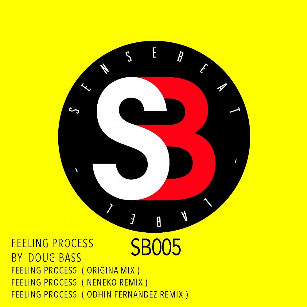 Постер альбома Feeling Process