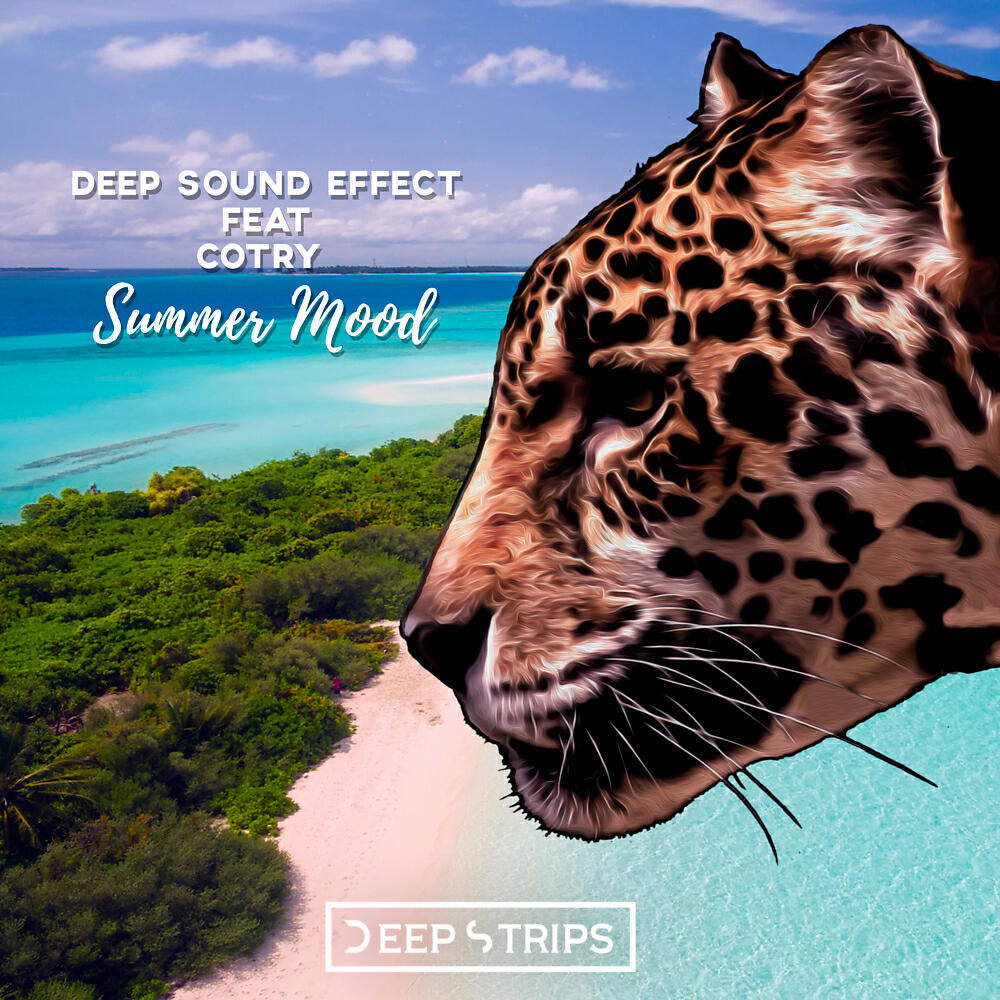 Deep Sound Effect - Summer Mood (Nayio Bitz Remix)