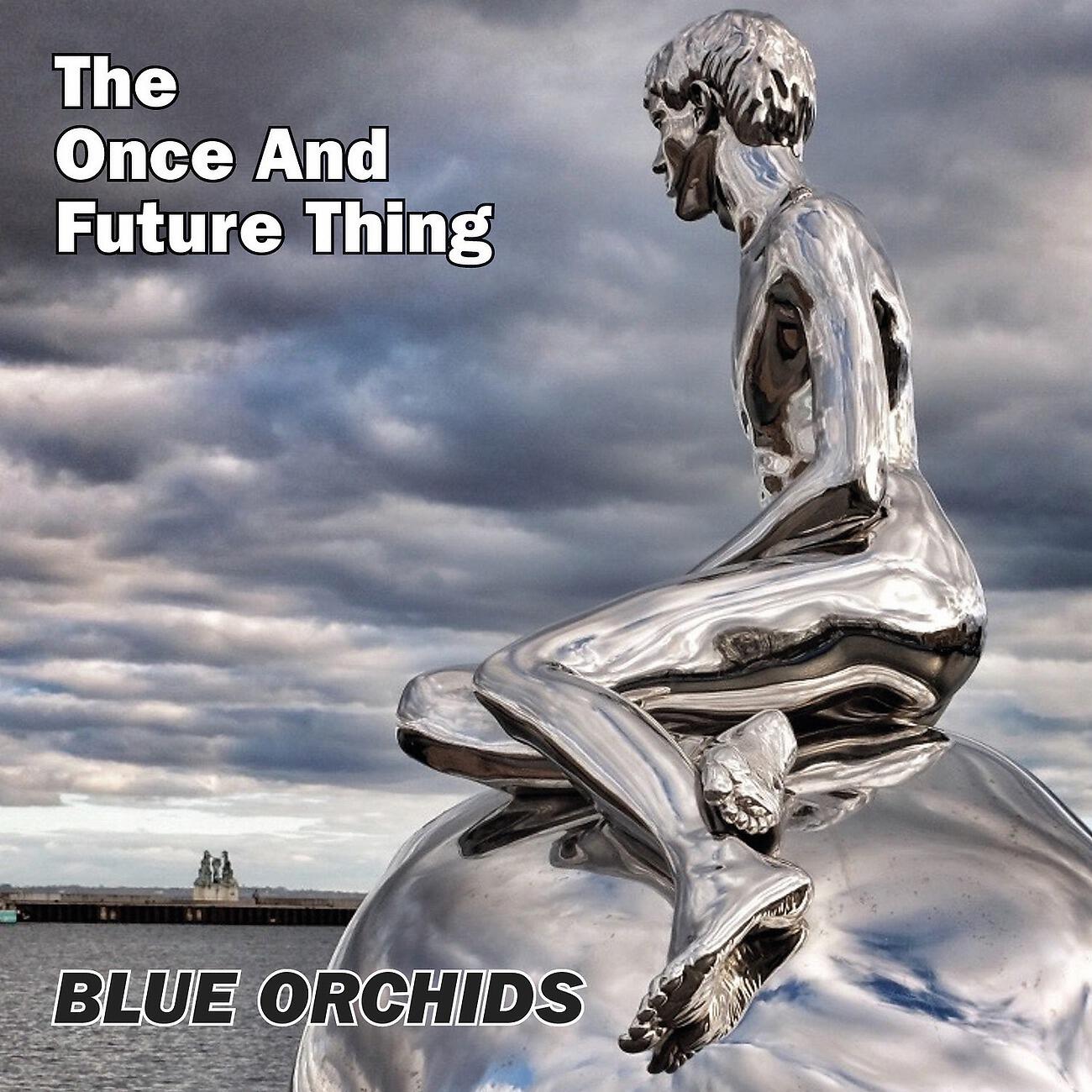 Blue Orchids - Groundhog Life