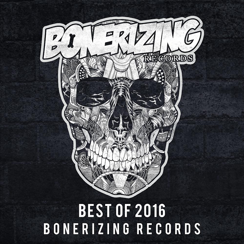 Постер альбома Best Of 2016: Bonerizing Records