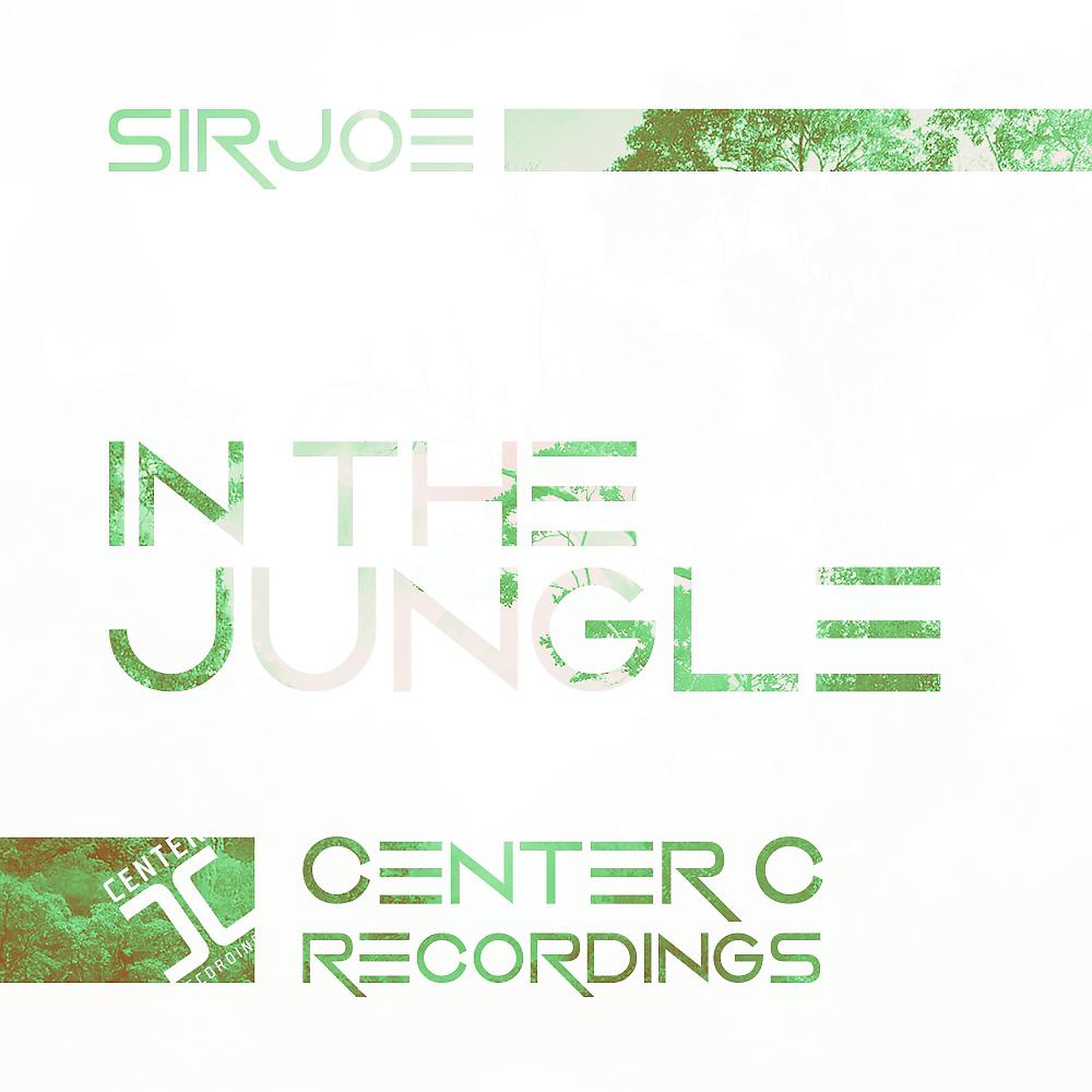 Постер альбома In The Jungle