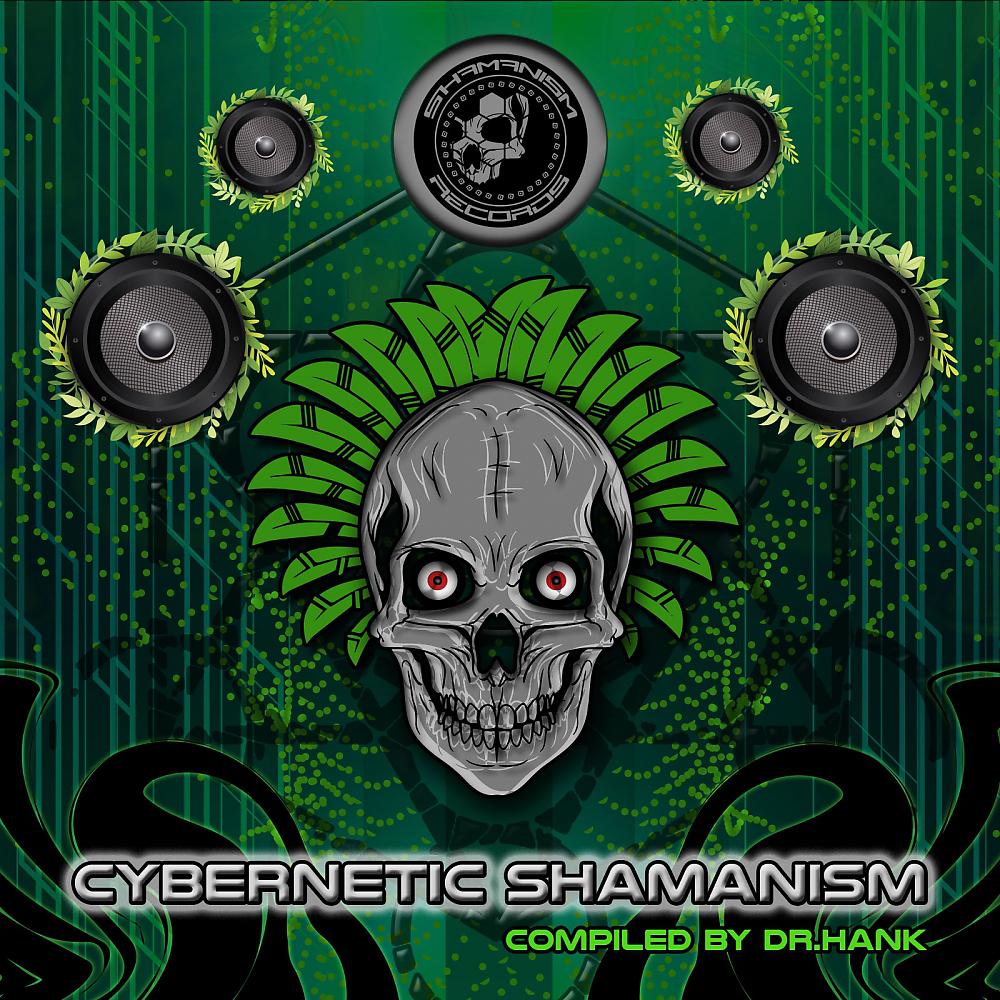 Постер альбома Cybernetic Shamanism