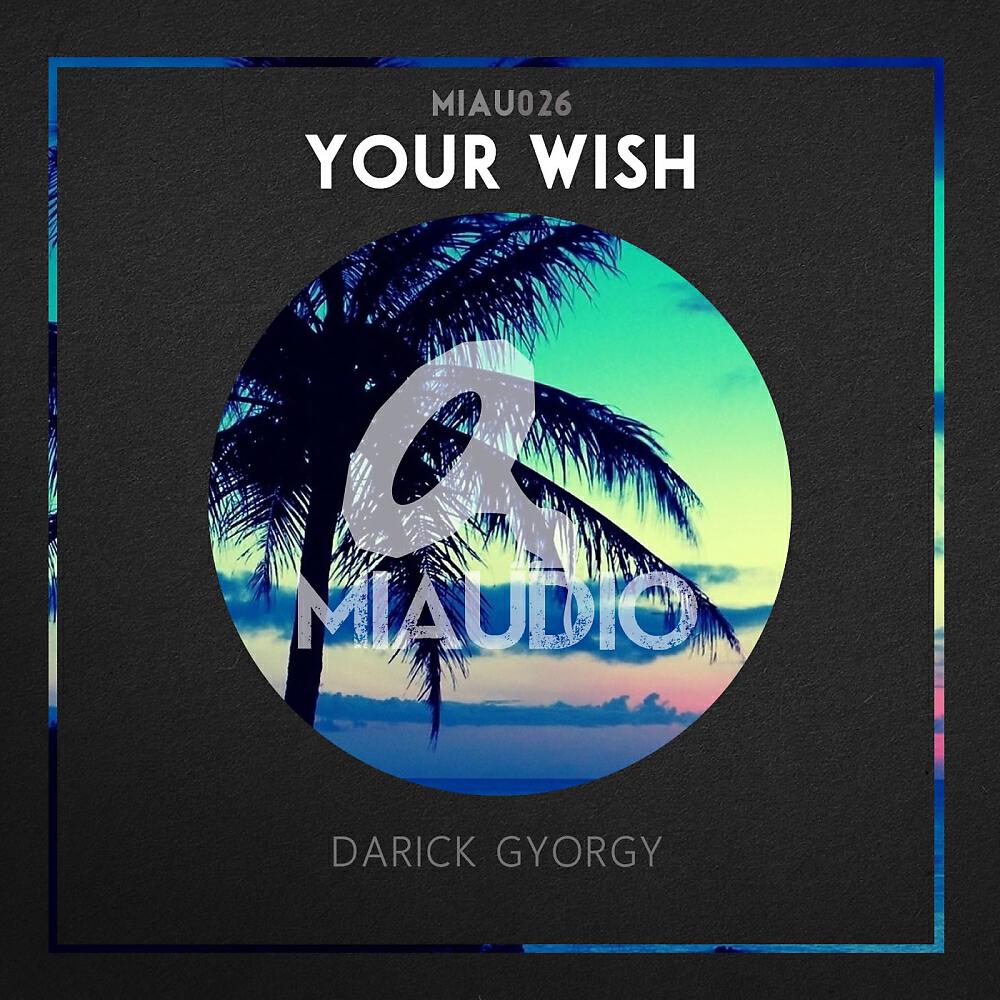 Darick Gyorgy - Last Night (Original Mix)