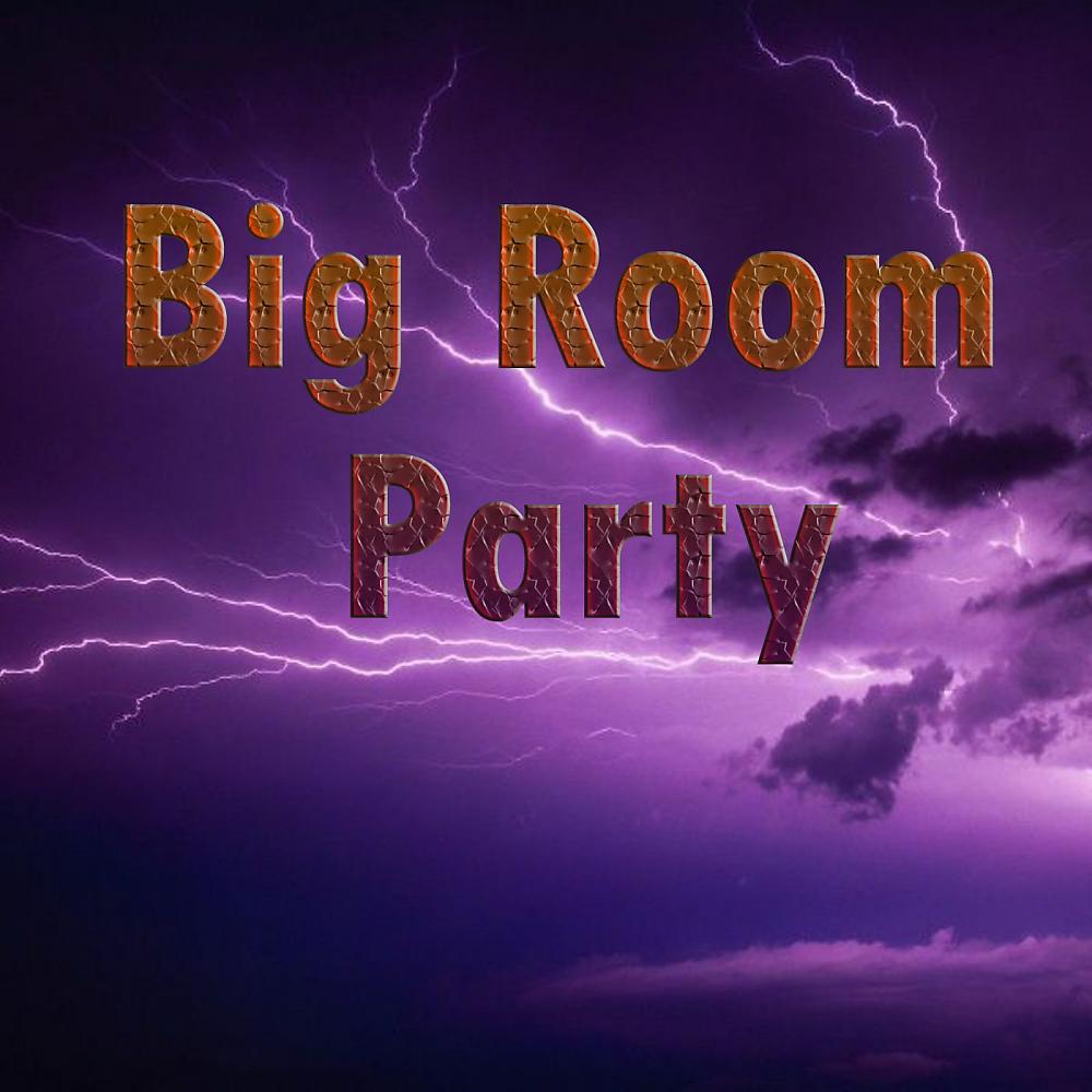 Постер альбома Big Room Party