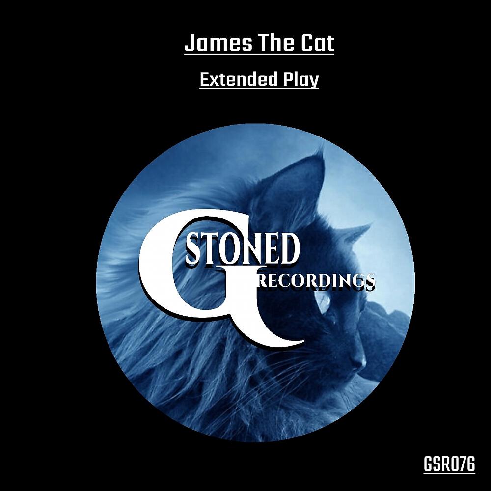 James The Cat - I've Got Rick Wakeman In My Basement (Stanny Abram Remix)