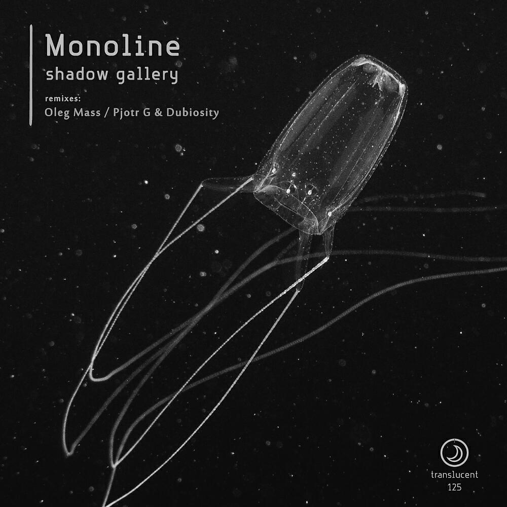 Monoline - Shadow Gallery (Pjotr G & Dubiosity Remix)