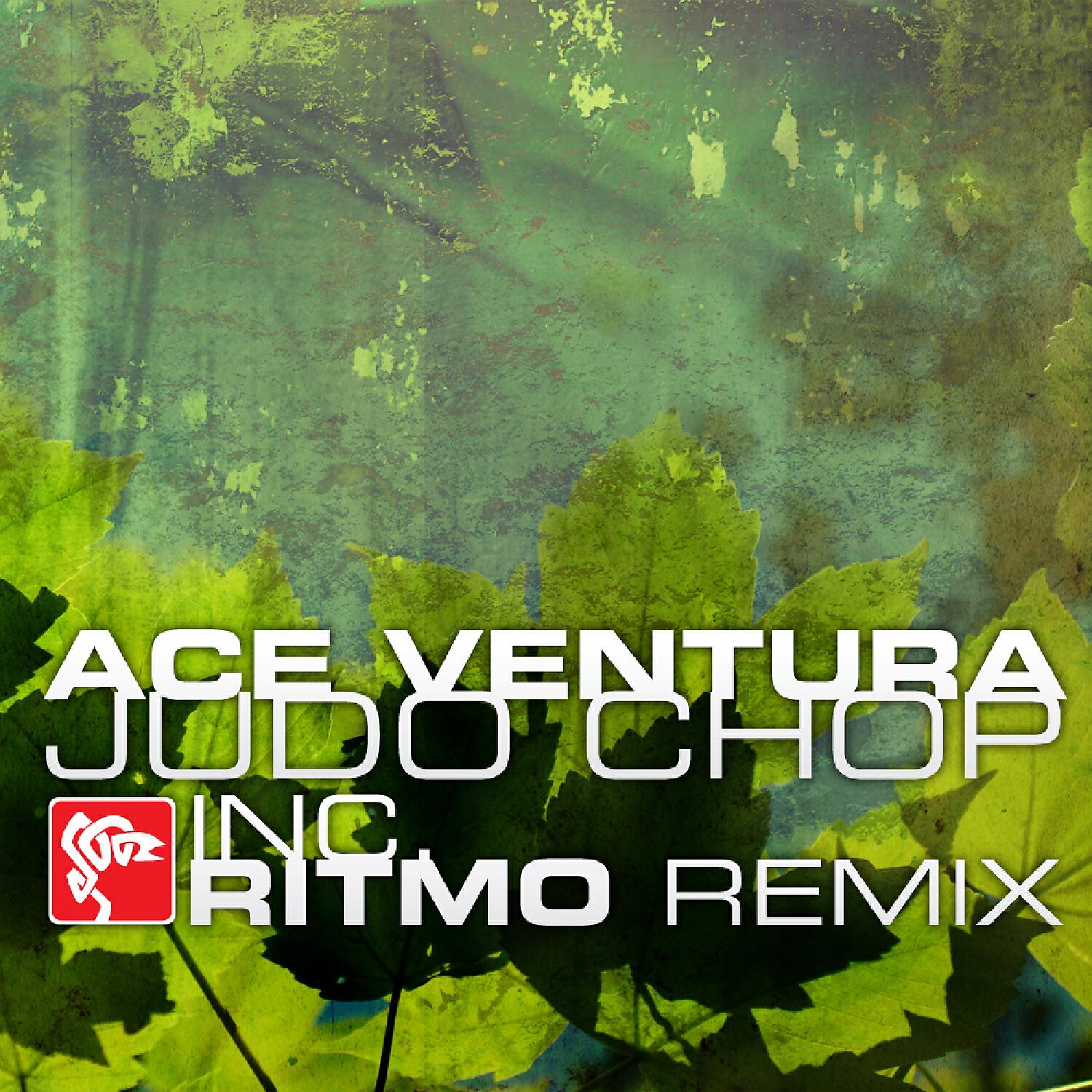 Ace Ventura - Judo Chop (Original Mix)