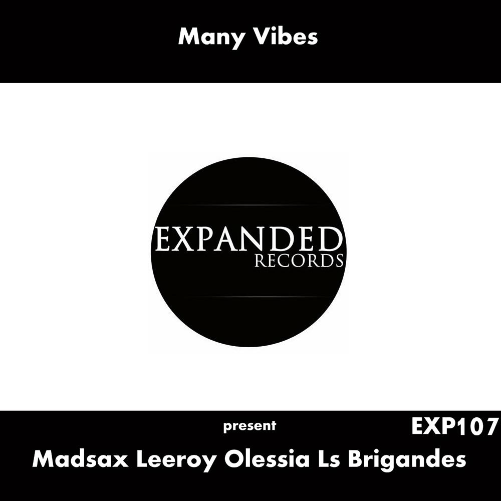 Постер альбома Many Vibes Present Madsax, Leeroy, Olessia, Ls Brigandes