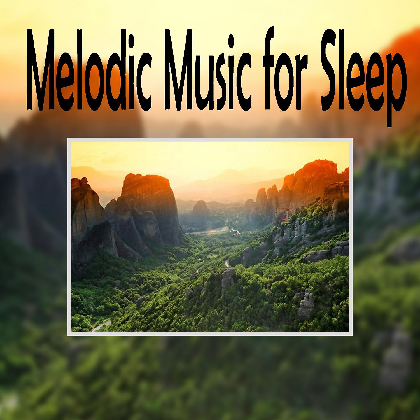 Постер альбома Melodic Music For Sle - EP