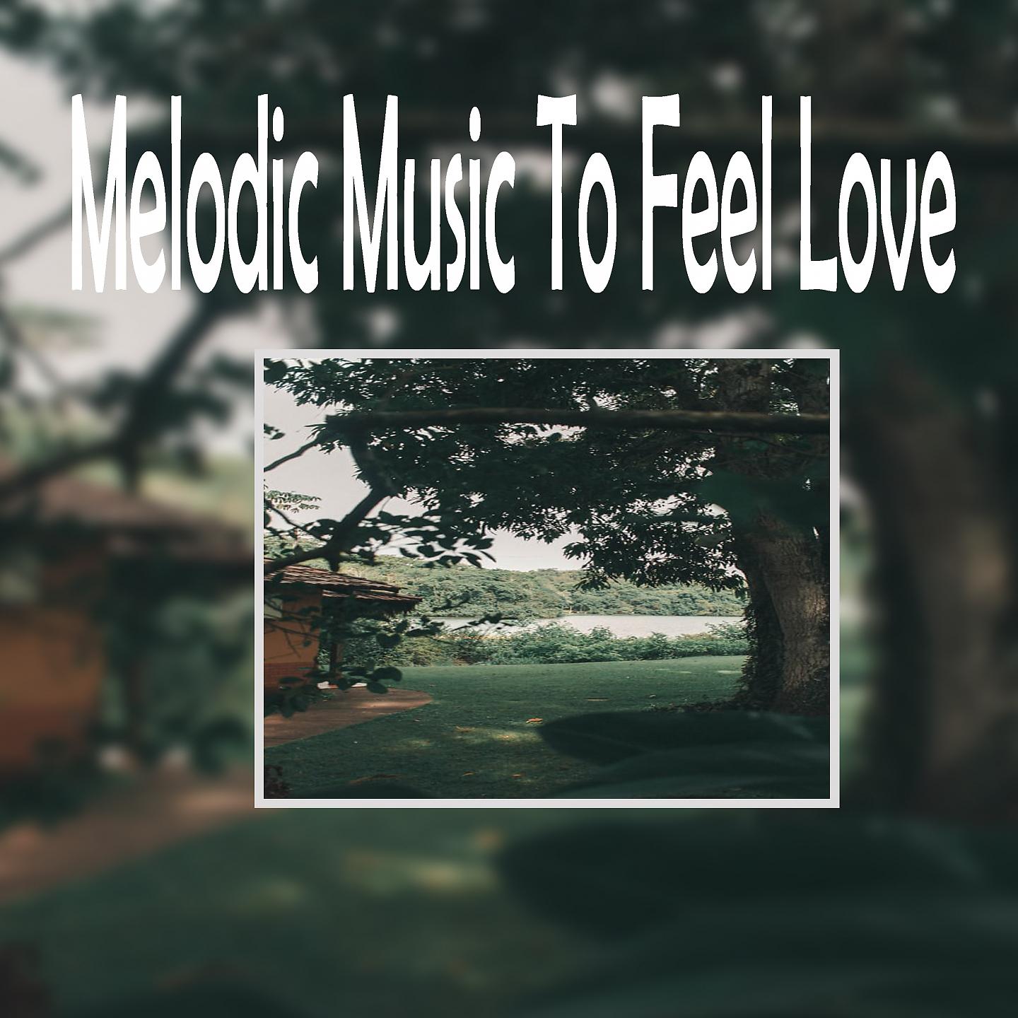 Постер альбома Melodic Music To Feel Love