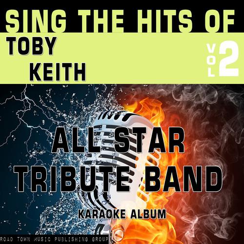 Постер альбома Sing the Hits of Toby Keith, Vol. 2