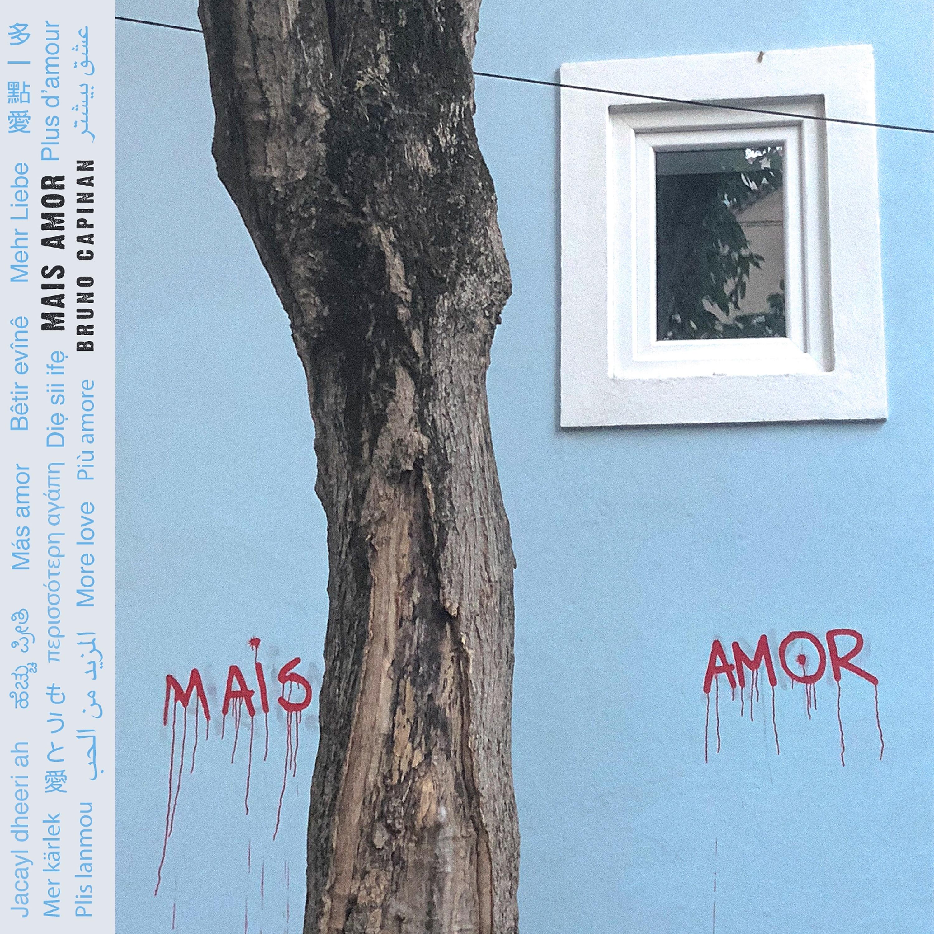 Постер альбома Mais Amor