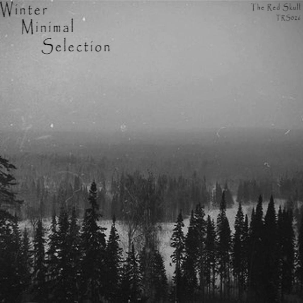 Постер альбома Winter Minimal Selection