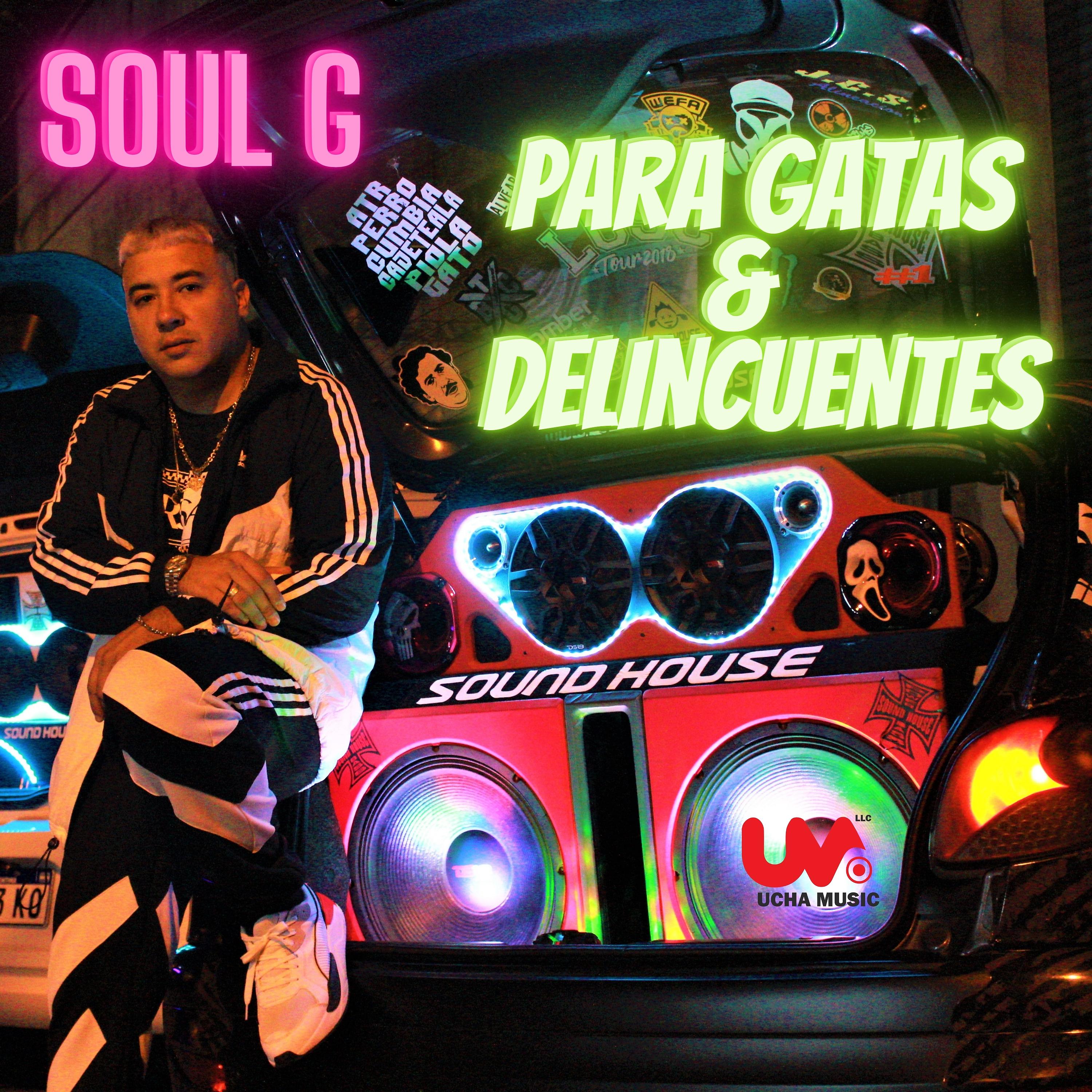 Постер альбома Para Gatas y Delincuentes