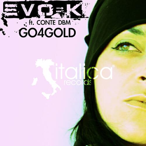 Evo-K - Go4gold (Ngd Project Remix)