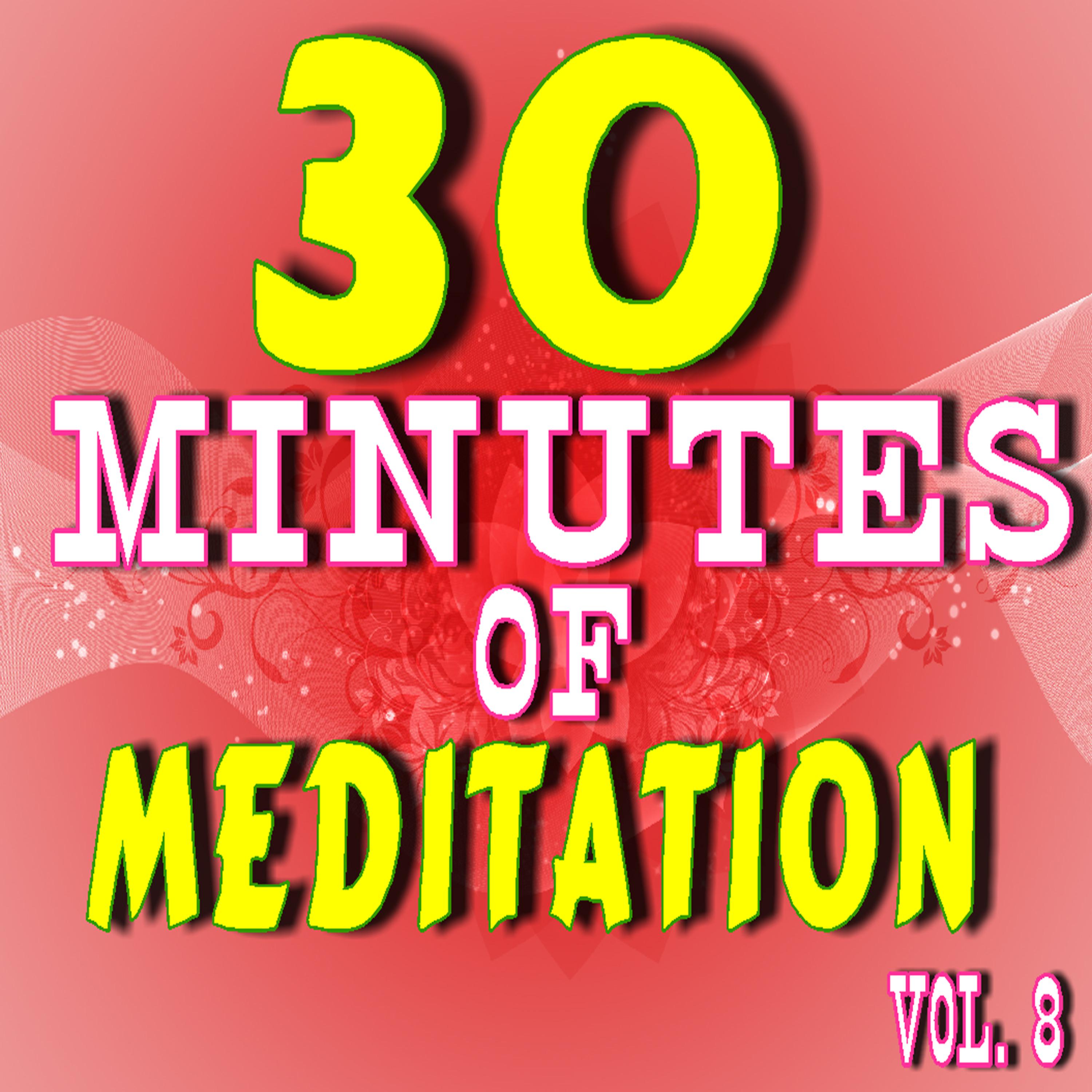 Постер альбома 30 Minutes of Meditation, Vol. 8 (Special Edition)