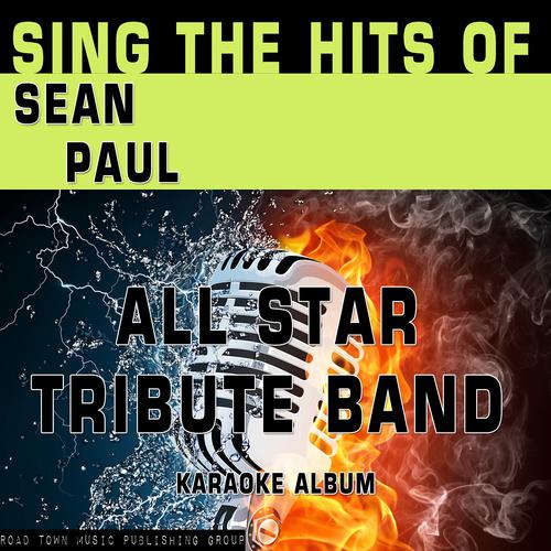 Постер альбома Sing the Hits of Sean Paul