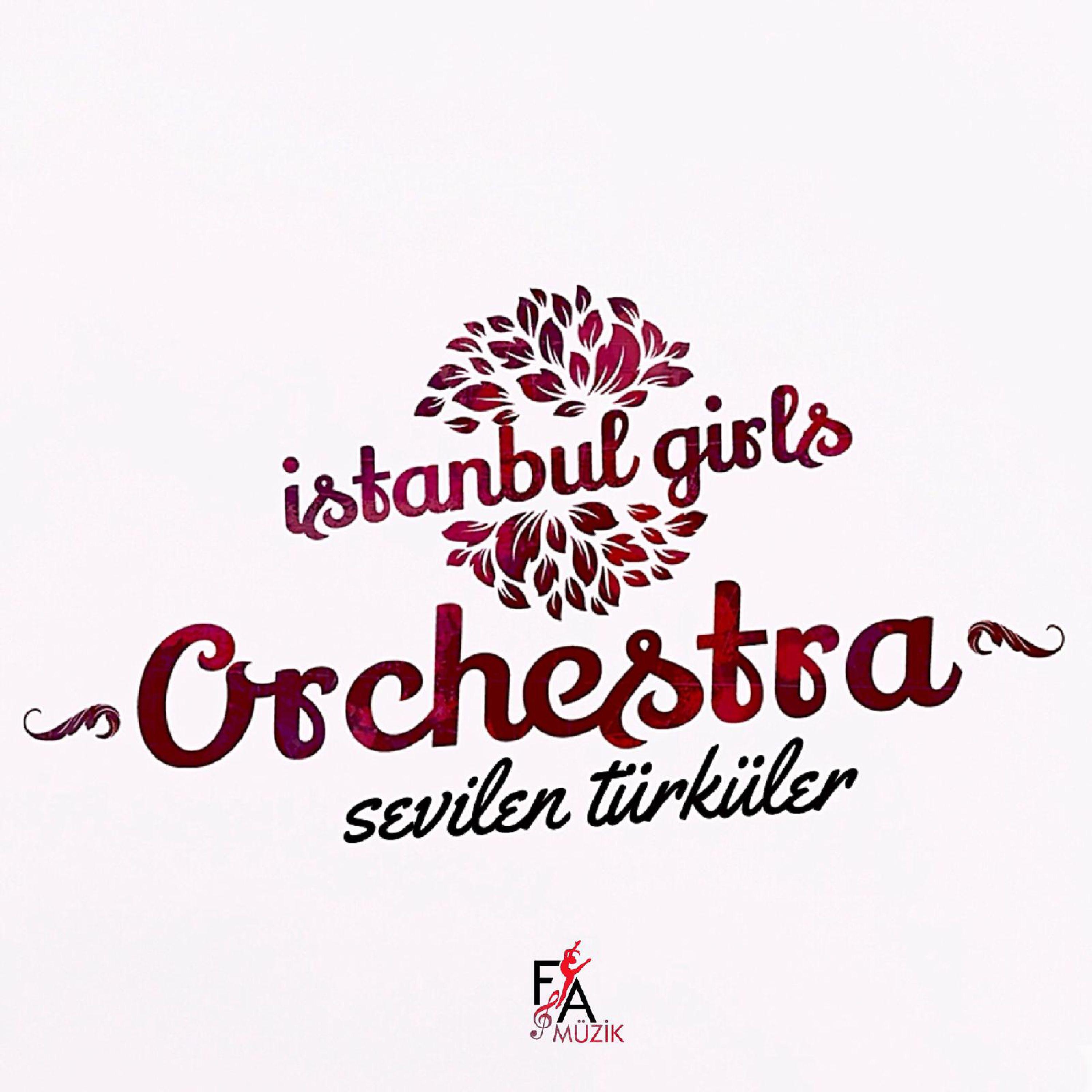 Постер альбома Sevilen Türküler