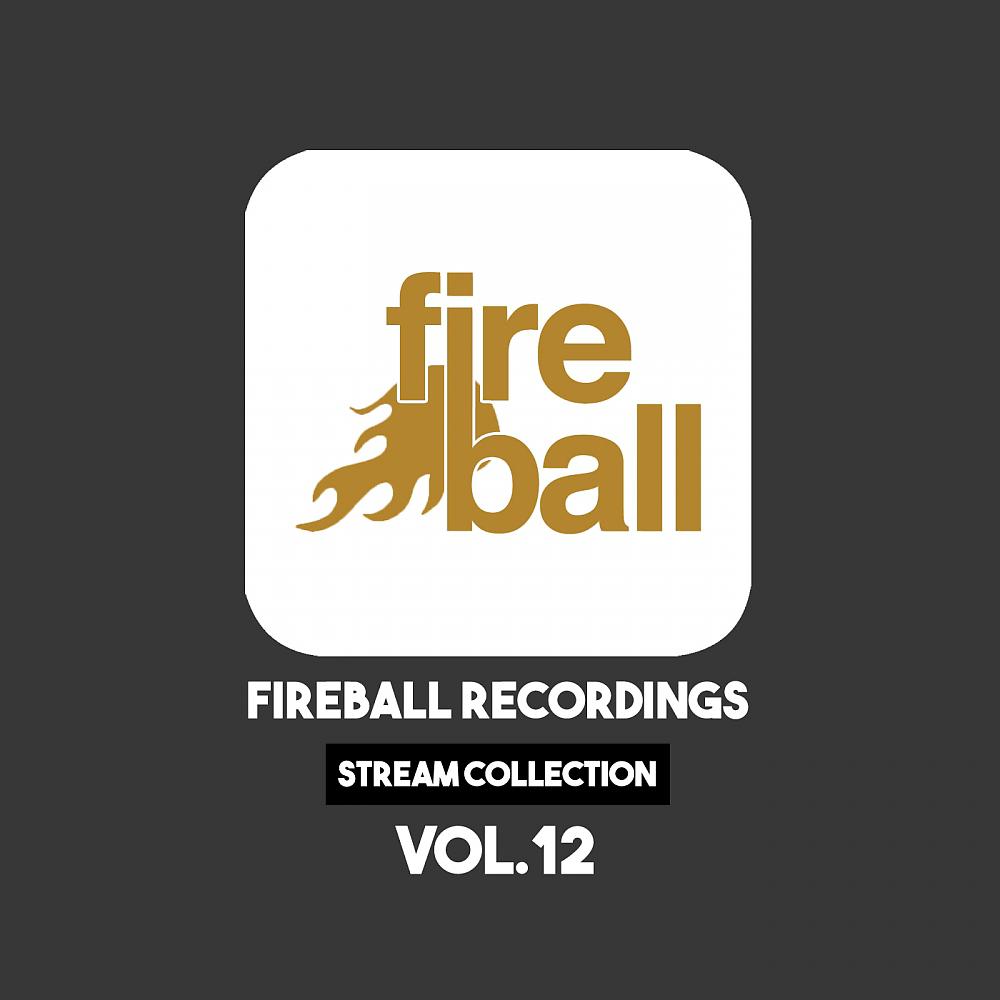 Постер альбома Fireball Recordings: Stream Collection, Vol. 12