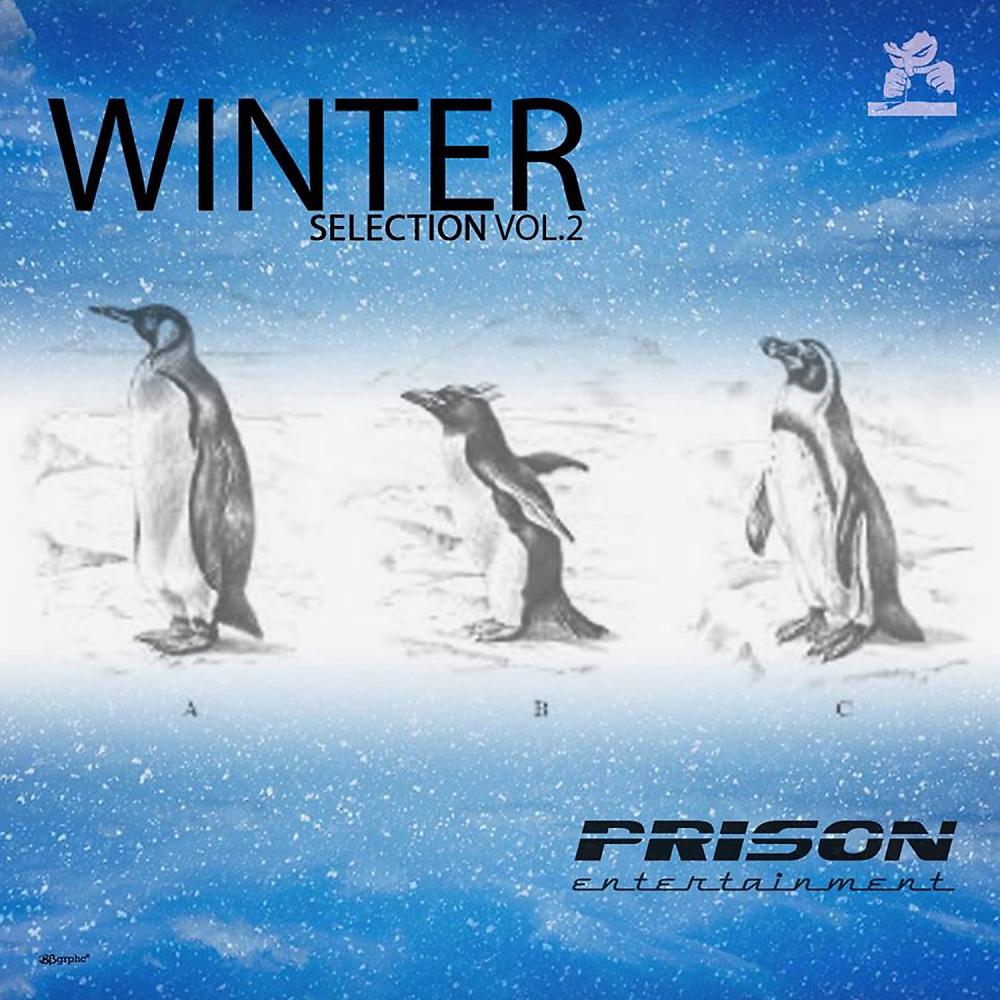 Постер альбома Winter Selection, Vol. 2
