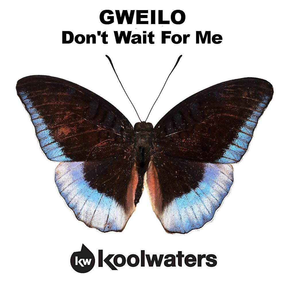GWEILO - Don't Wait For Me (Radio Edit)