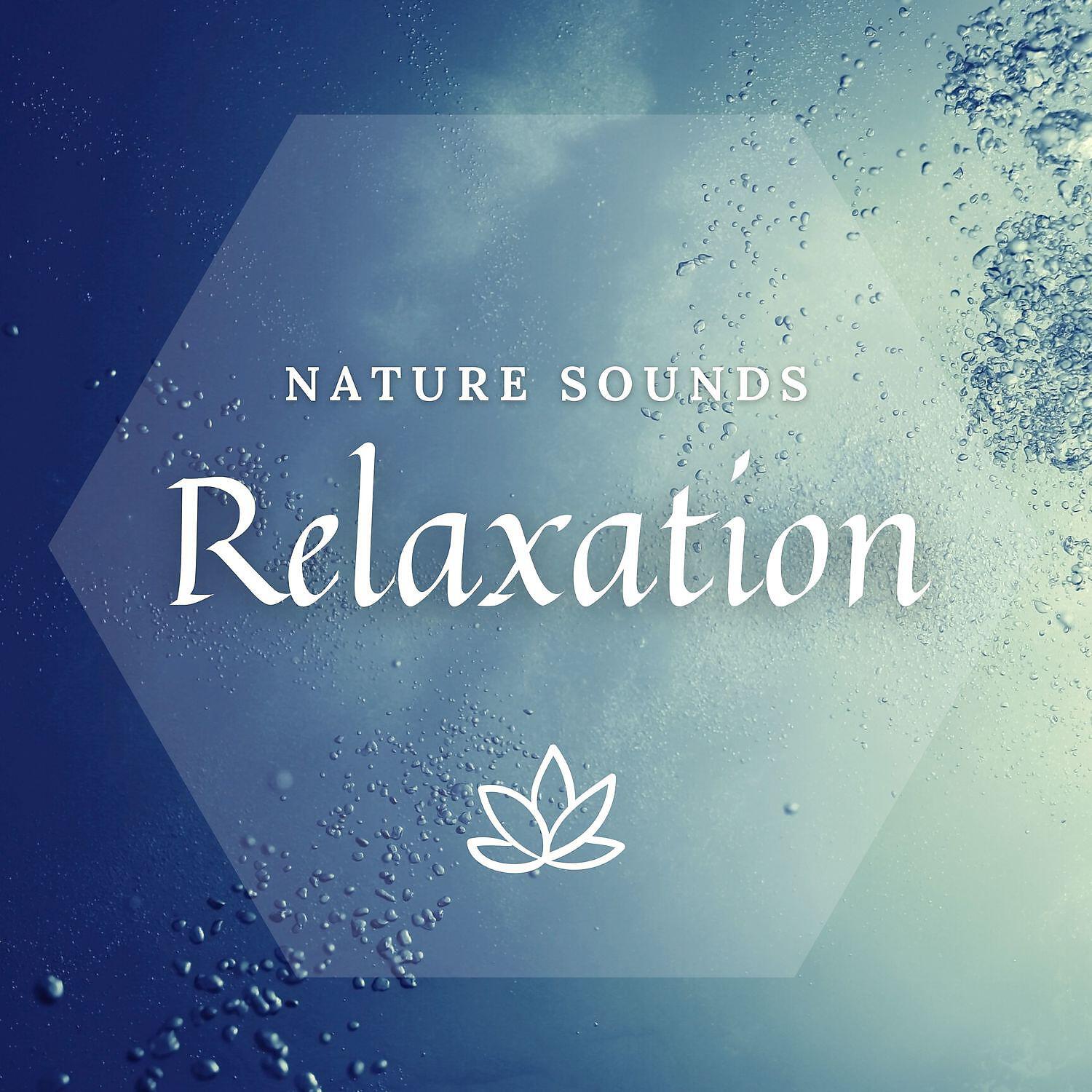 Meditway - Gentle Piano