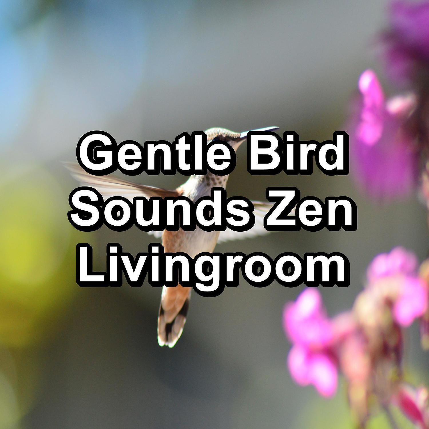 Meditation Rain Sounds - Forest Bird Sounds For Deep Sleep Peaceful For Meditation