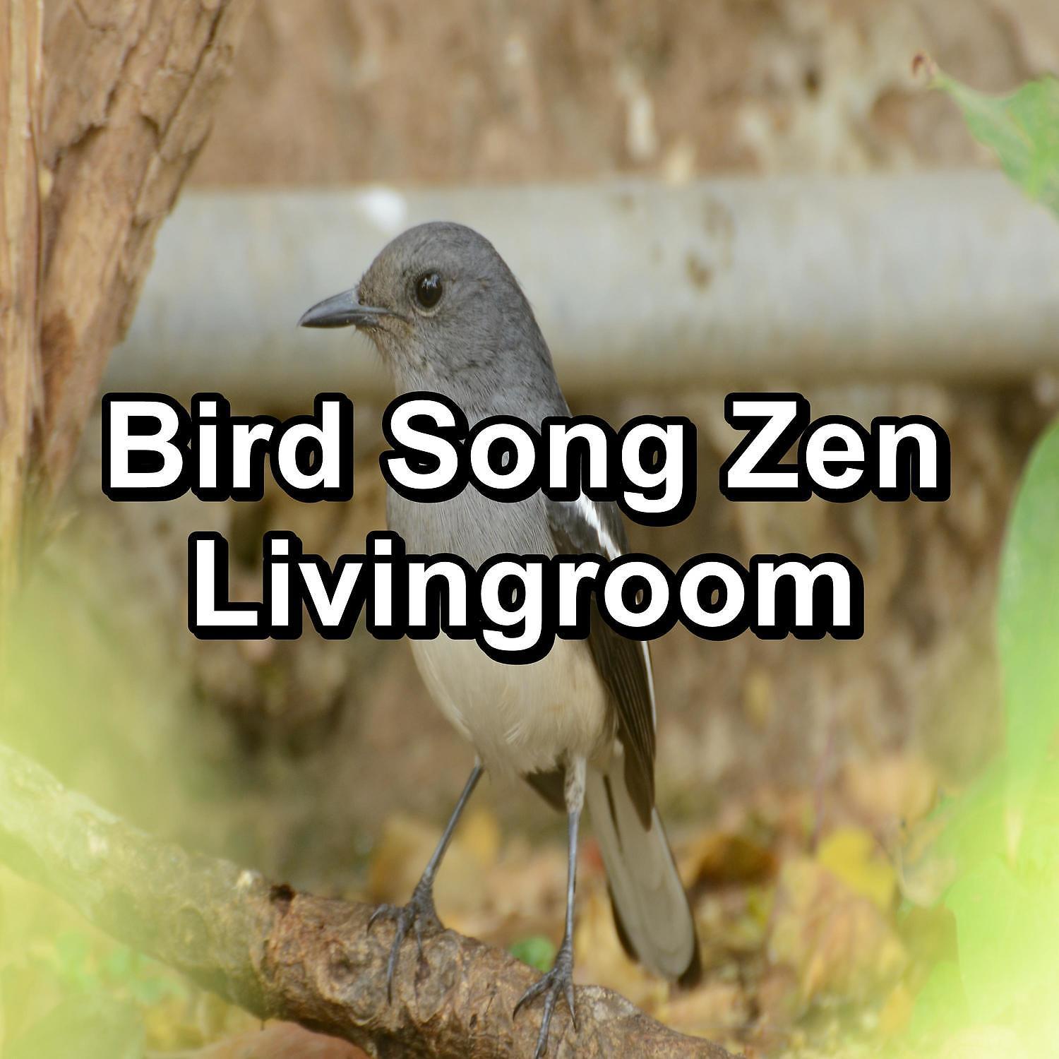 Постер альбома Bird Song Zen Livingroom