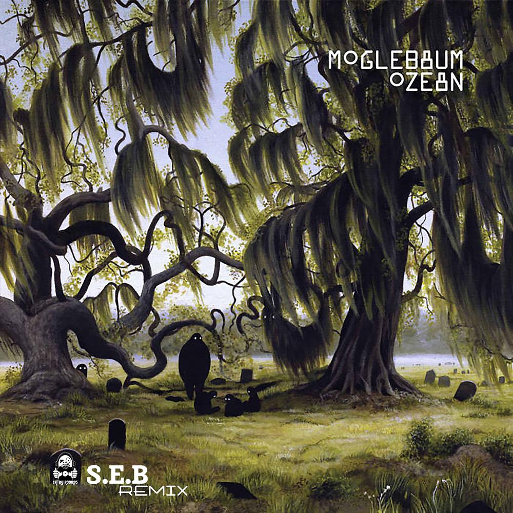 Постер альбома Ozean (S.E.B Remix)