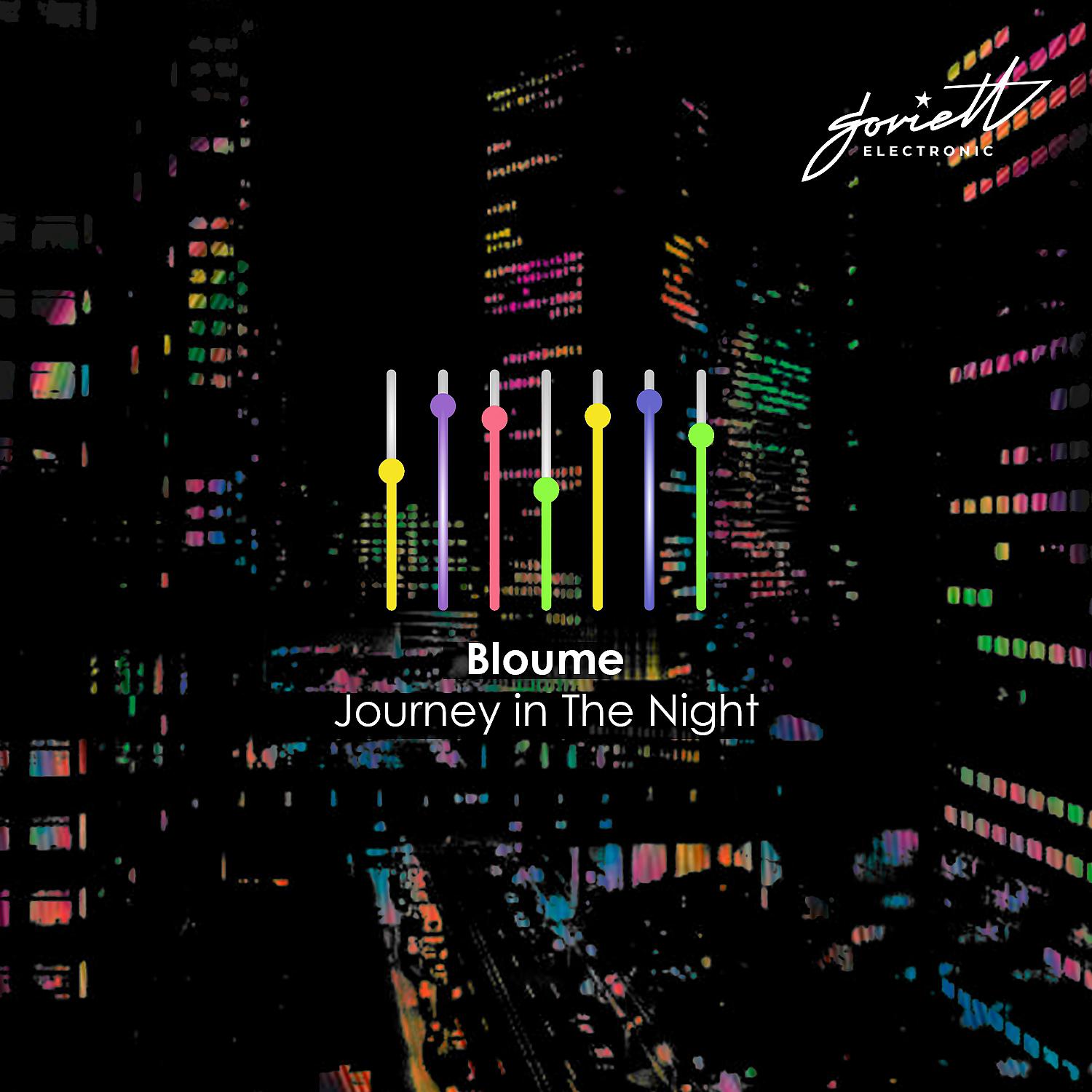 Постер альбома Journey in the Night