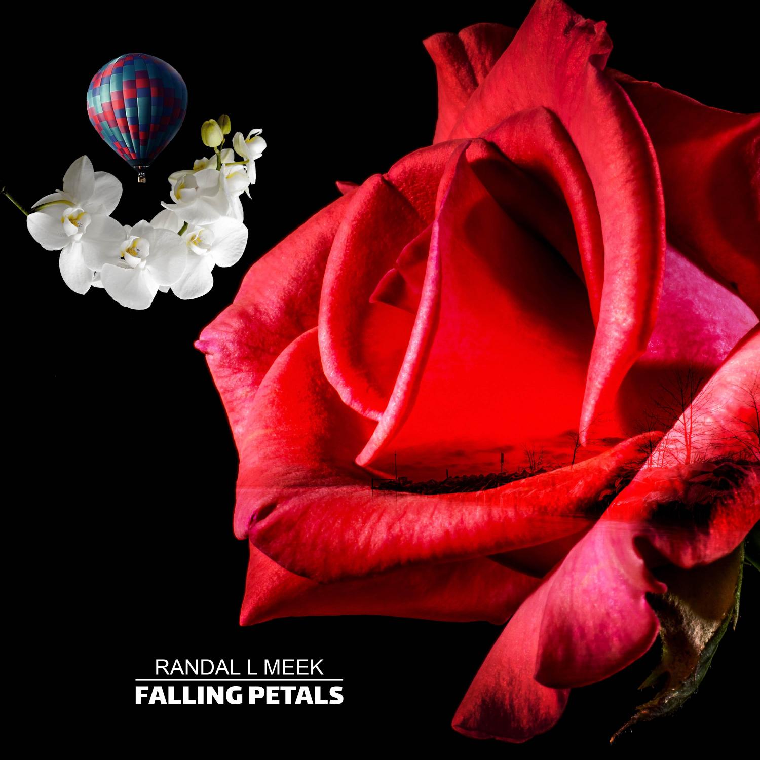 Постер альбома Falling Petals