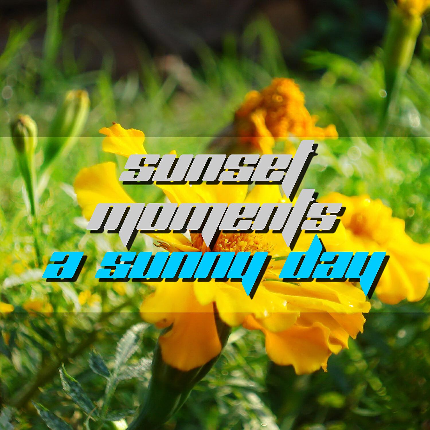 Sunset Moments - A Sunny Day