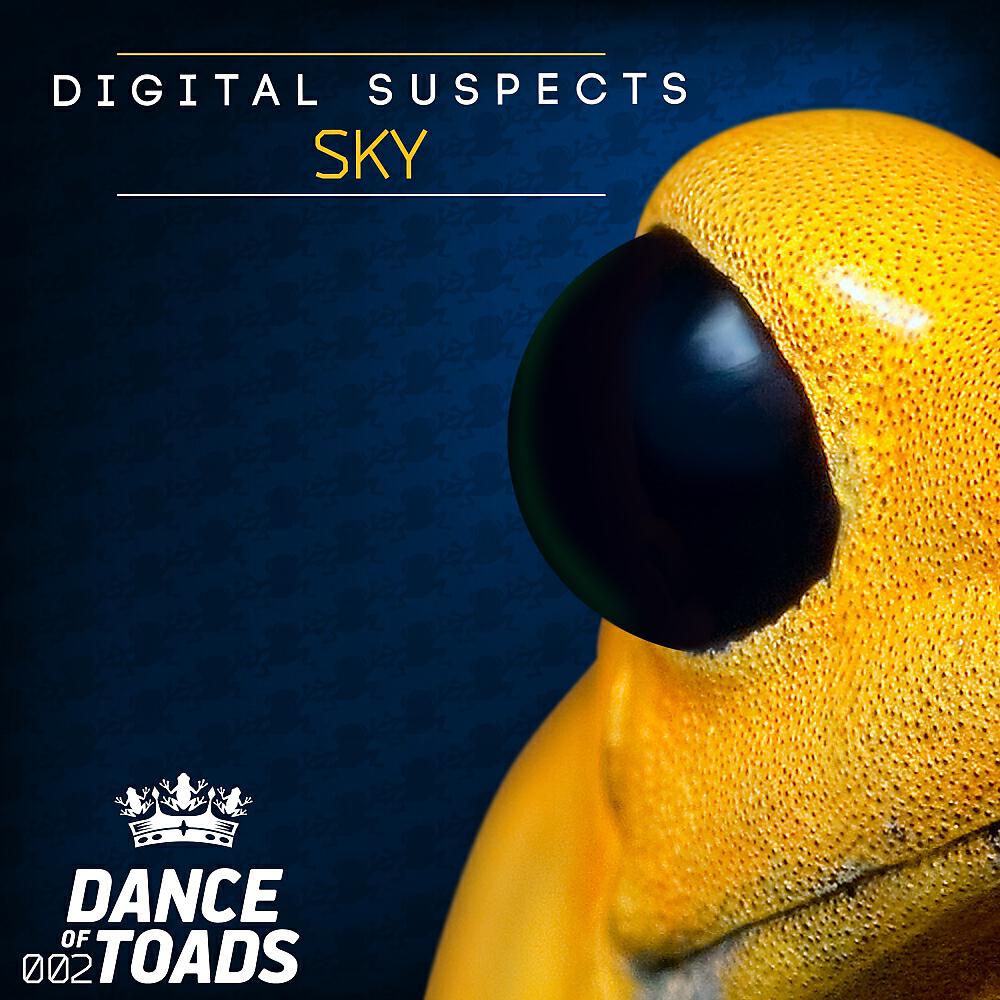 Digital Suspects - Sky