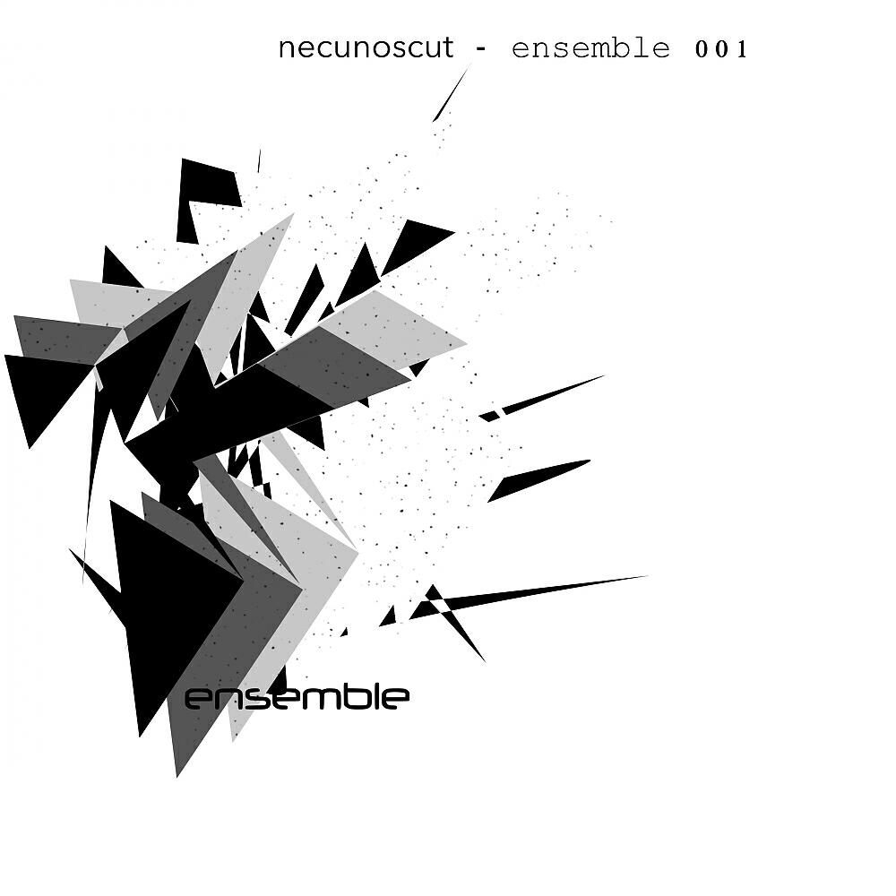 Necunoscut - Ensemble 1.2