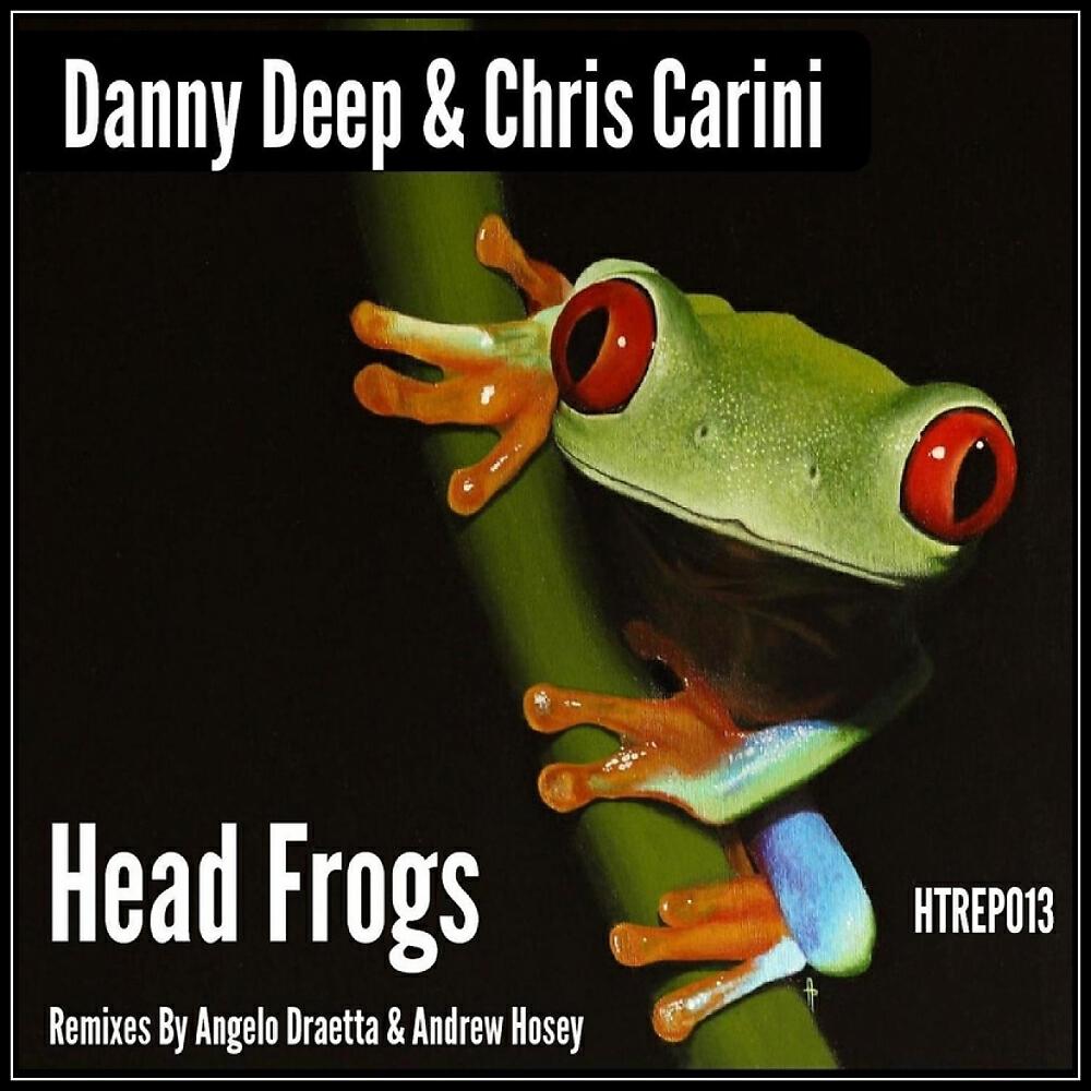 Danny Deep - Head Frogs (Andrew Hosey Remix)