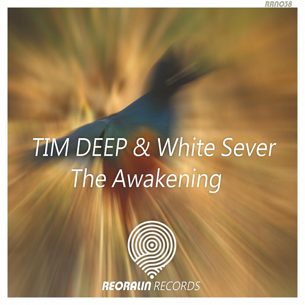 TIM DEEP - The Awakening