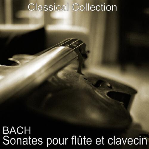Paul Kuentz - Sonate in E Minor, BWV 1034: II. Allego