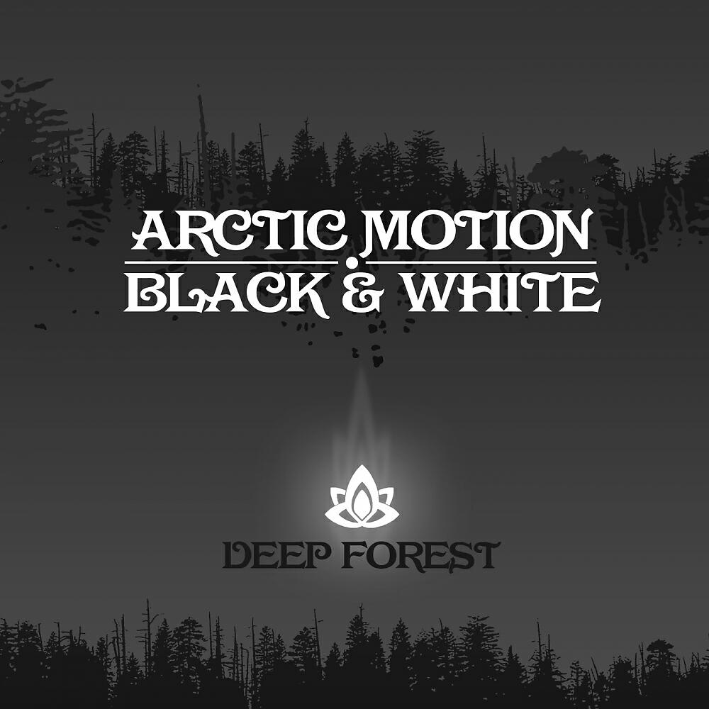Arctic Motion - Black & White