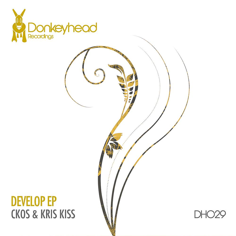 Ckos - Develop (Mr Costy Remix)