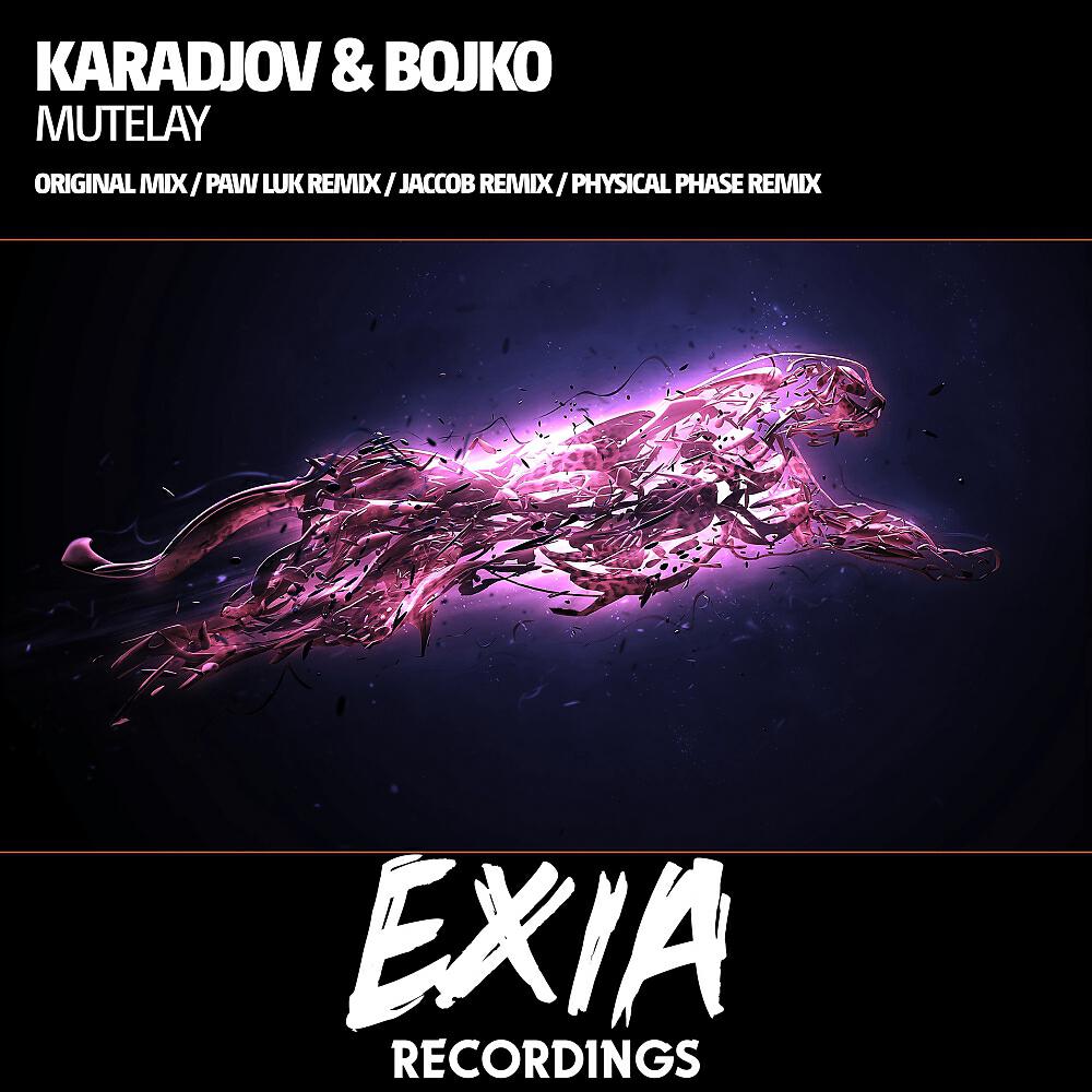 Karadjov - Mutelay (Physical Phase Remix)