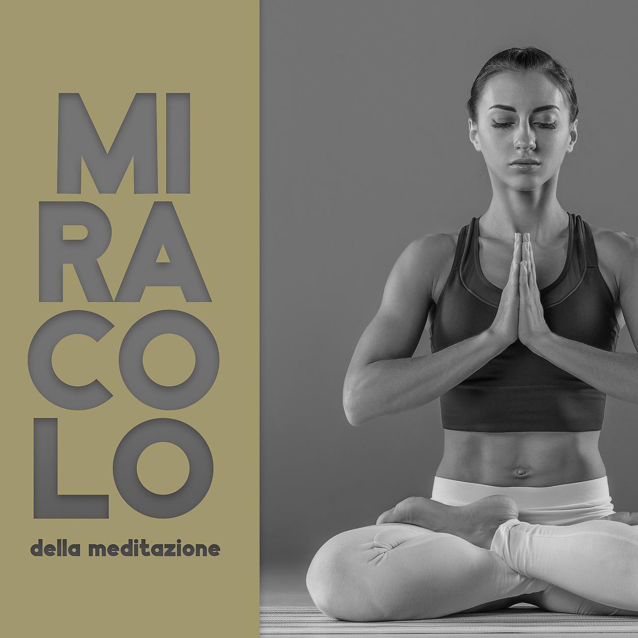 Постер альбома Miracolo della meditazione