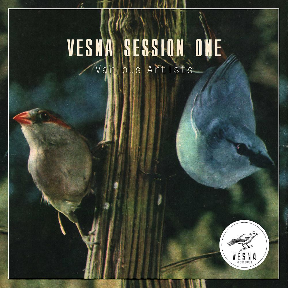 Постер альбома Vesna Session One