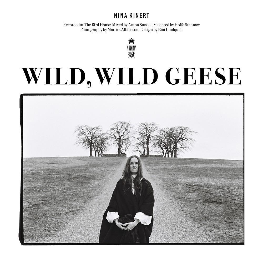 Постер альбома Wild, Wild Geese