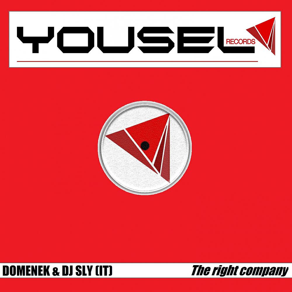 Domenek - The Right Company